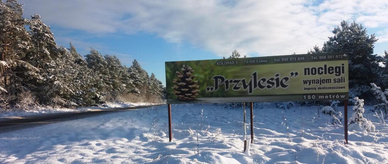 Pokoje Goscinne Przylesie Łobez エクステリア 写真